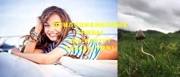 стафф Балабаново