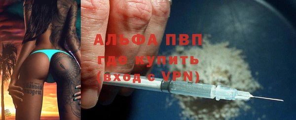 стаф Балахна