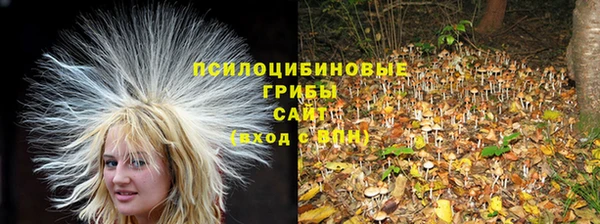 стаф Балахна