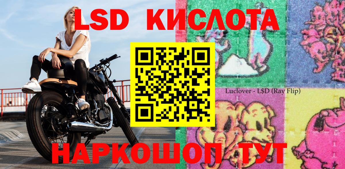 Дедовск  где можно купить наркотик  Марки N-bome  Вход с VPN  Марки 25I-NBOMe 1,8мг  Марки 25I-NBOMe 1,8мг 