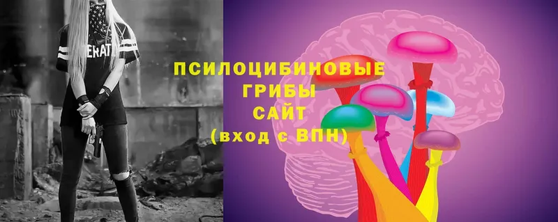 МЕГА как войти  закладка  Дедовск  Псилоцибиновые грибы Magic Shrooms 