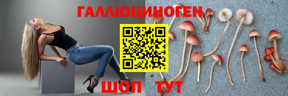 Дедовск  цены   Вход с VPN  Галлюциногенные грибы Cubensis 