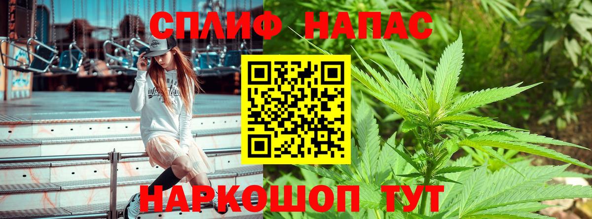 ГАШ Дедовск